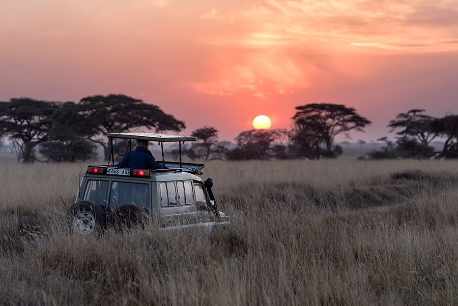 Viajes de novios, safari en Kenia